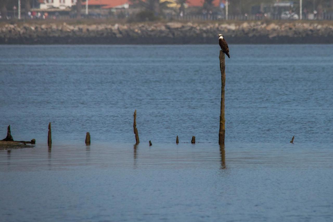 Bungalow B9 - Nature, Beach&River Fao Bagian luar foto
